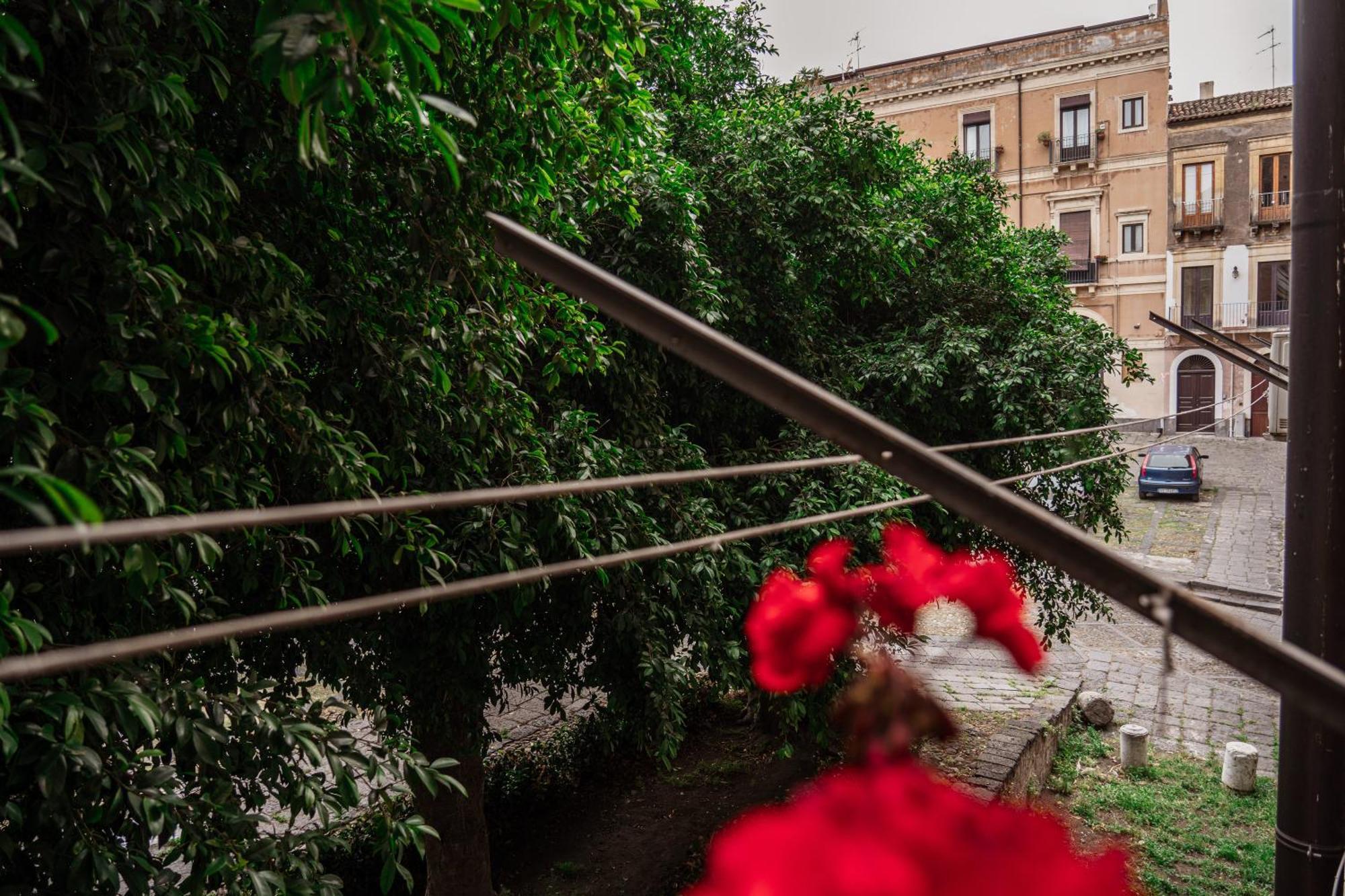 Bed And Books Bed & Breakfast Catania Exterior photo